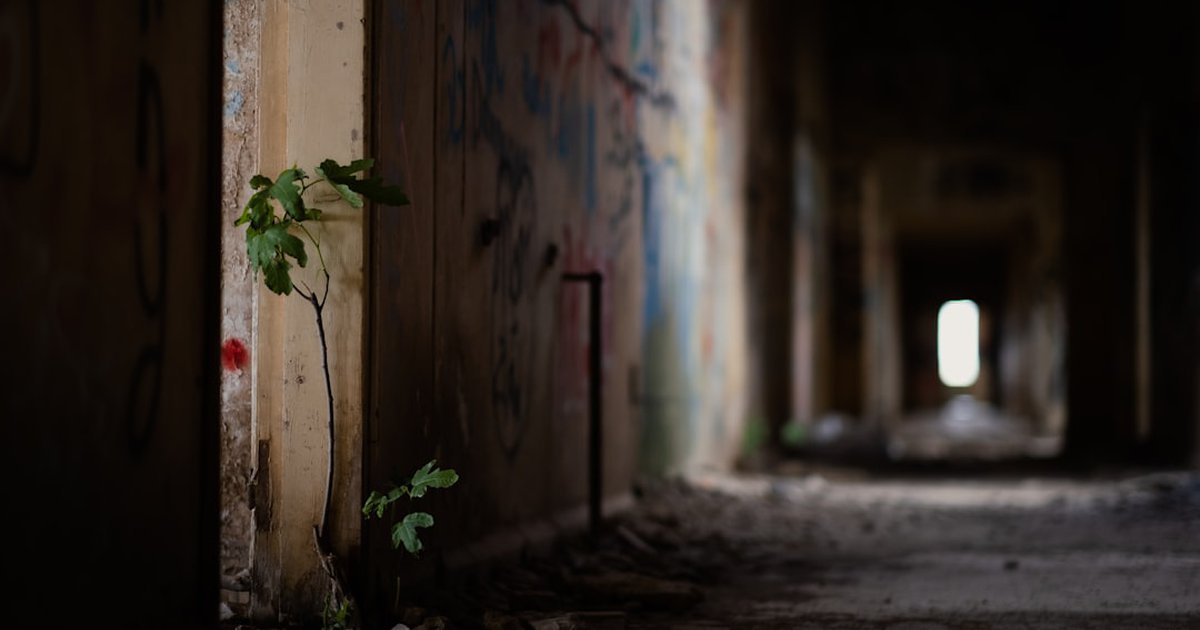 ゴラン高原:イスラエル入植者がシリア領内に侵入