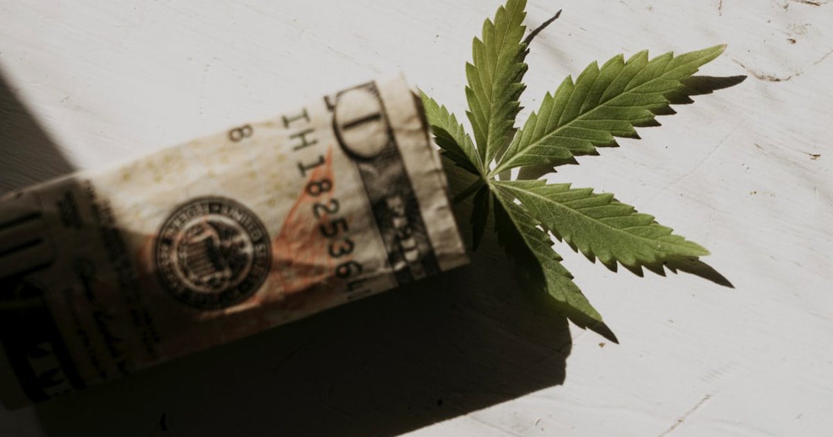 大麻の再分類でティルレイなどの大麻株が高騰